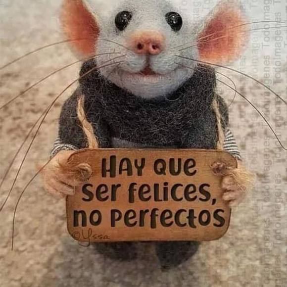 annieclueless70